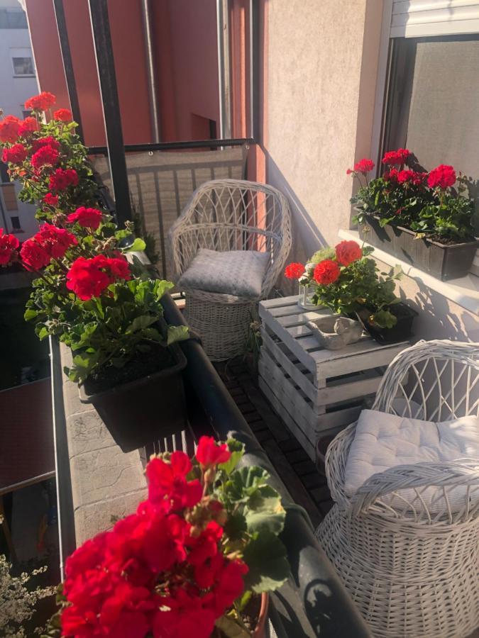 Barbara'S Apartment Βουδαπέστη Εξωτερικό φωτογραφία